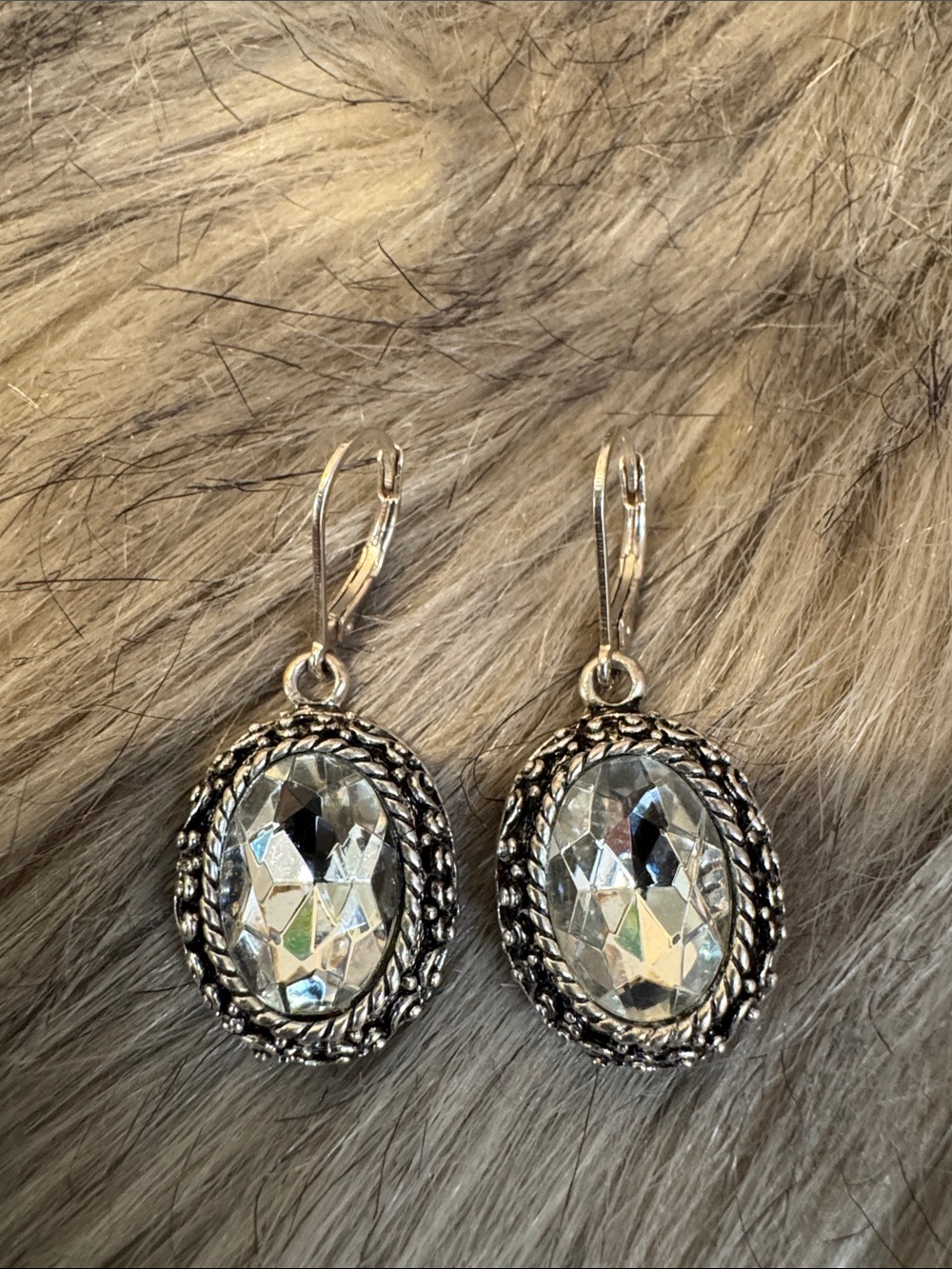 Silver Clear Crystal Oval Drop Earrings
